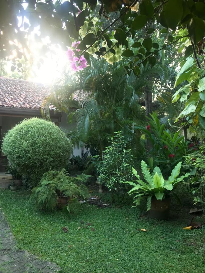 Tangalle Green House Dış mekan fotoğraf