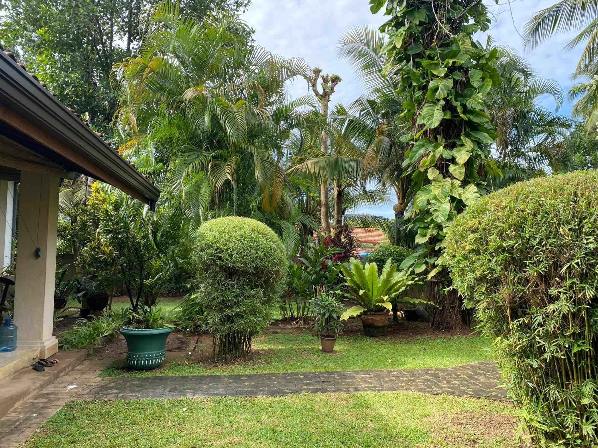 Tangalle Green House Dış mekan fotoğraf