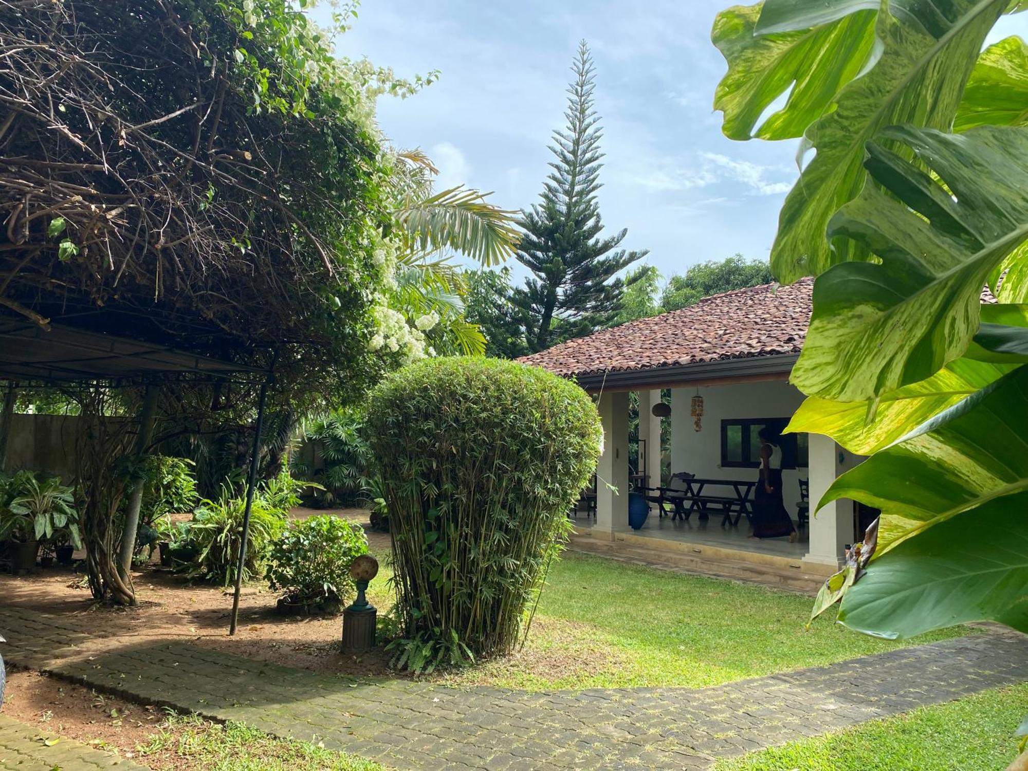 Tangalle Green House Dış mekan fotoğraf