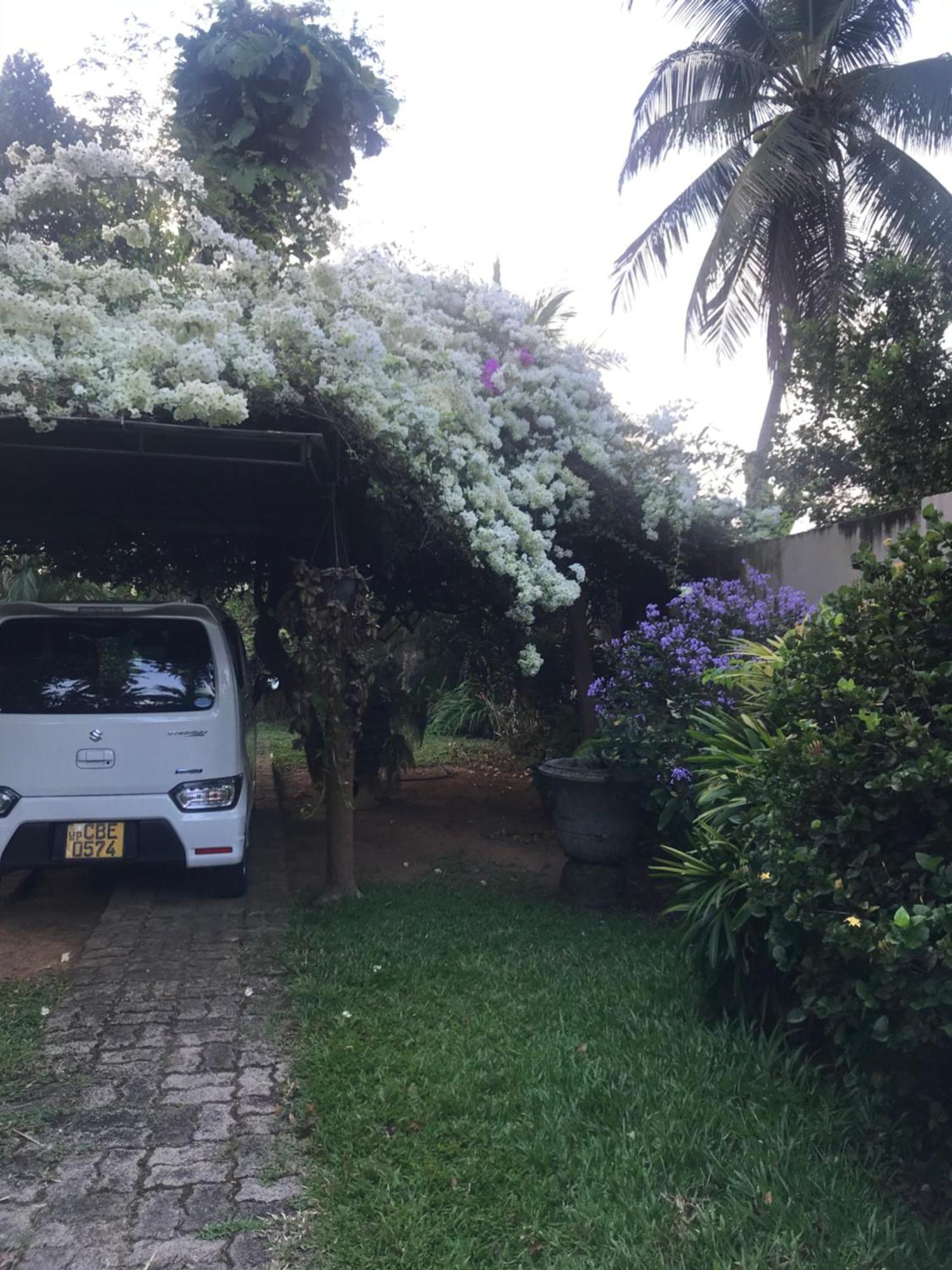 Tangalle Green House Dış mekan fotoğraf