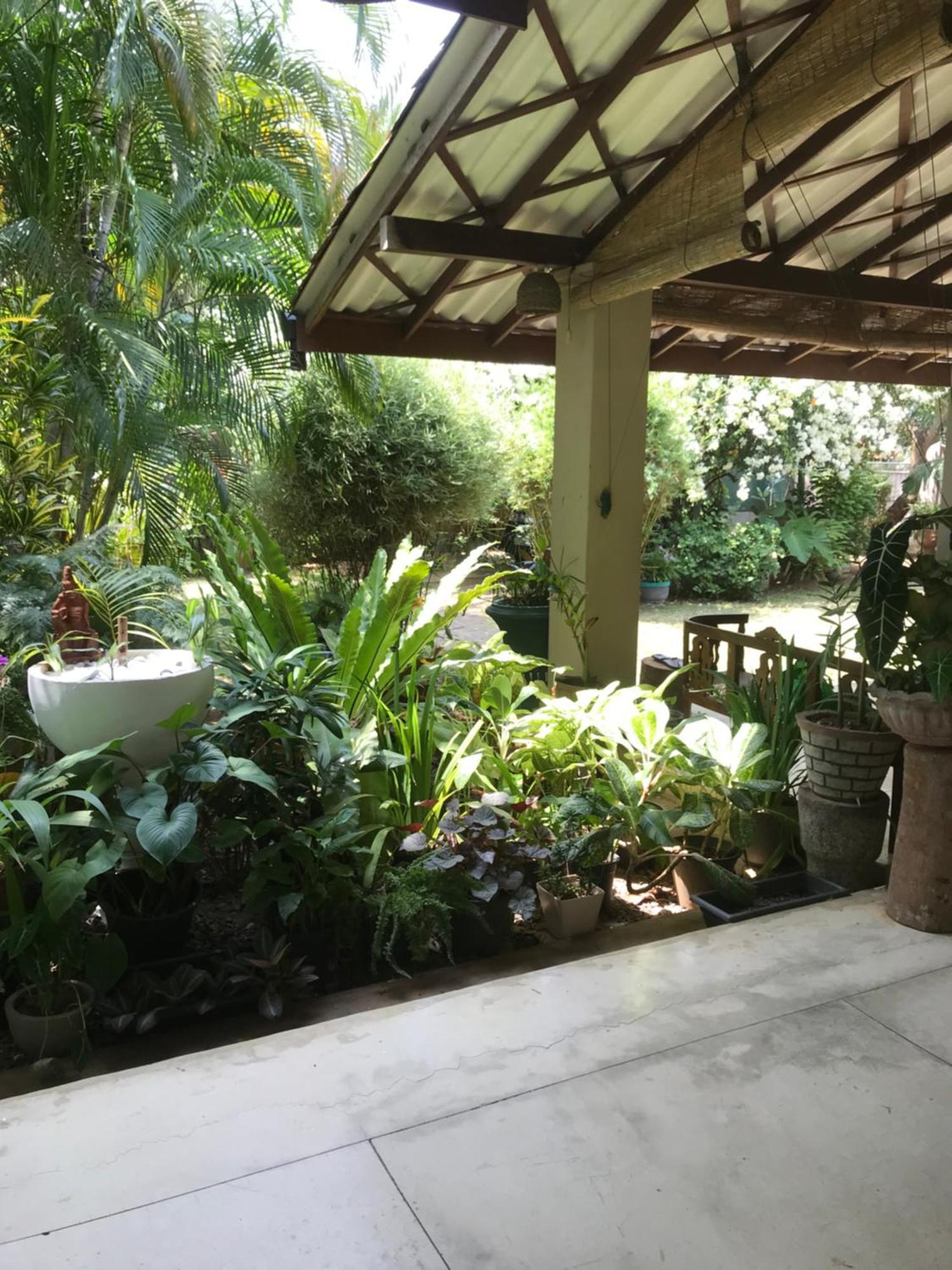 Tangalle Green House Dış mekan fotoğraf