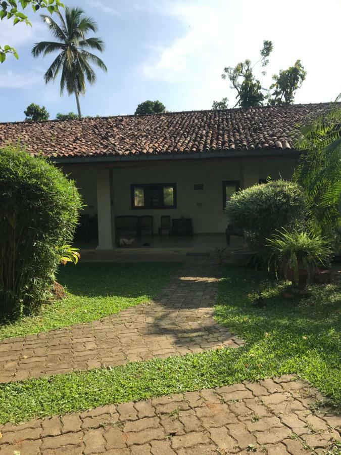 Tangalle Green House Dış mekan fotoğraf