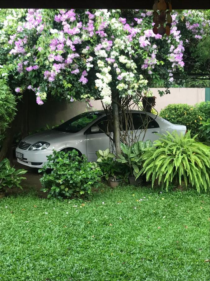 Tangalle Green House Dış mekan fotoğraf